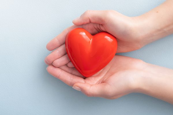 The woman is holding a red heart. The woman is holding a red heart. Concept for charity, health insurance, love for the children of the Little Edi Foundation